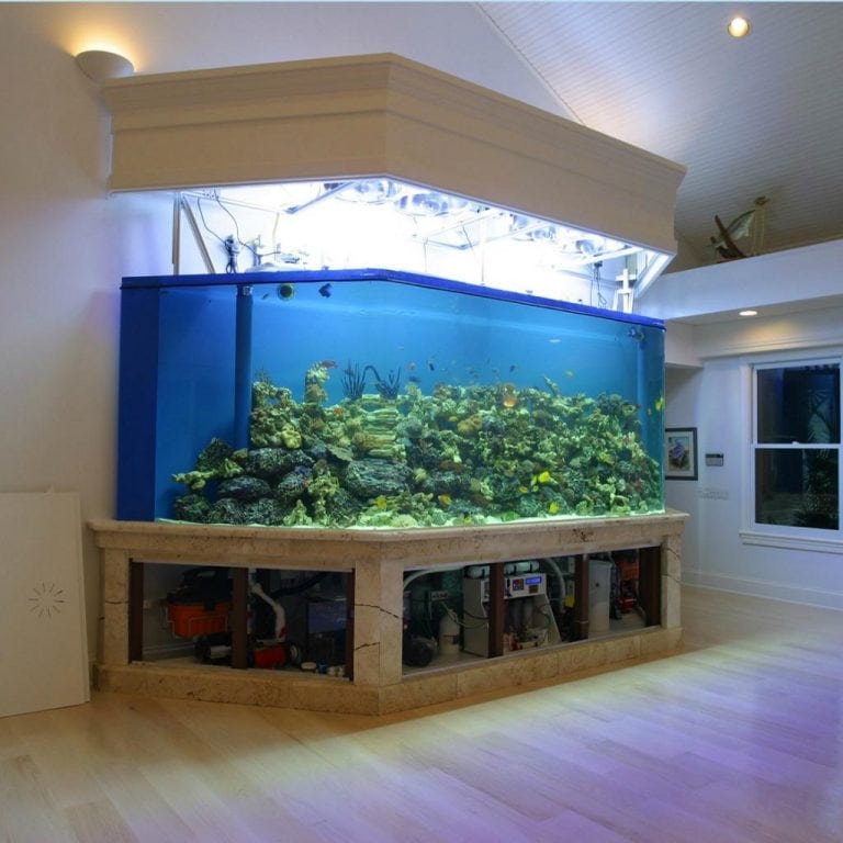 L’aquarium acrylique est-il possible?